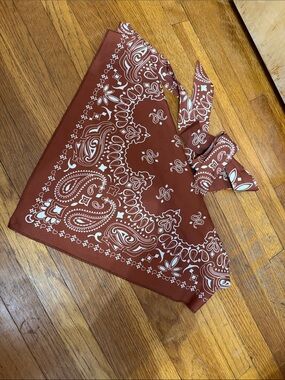 Rust Red Paisley Bandana crop top